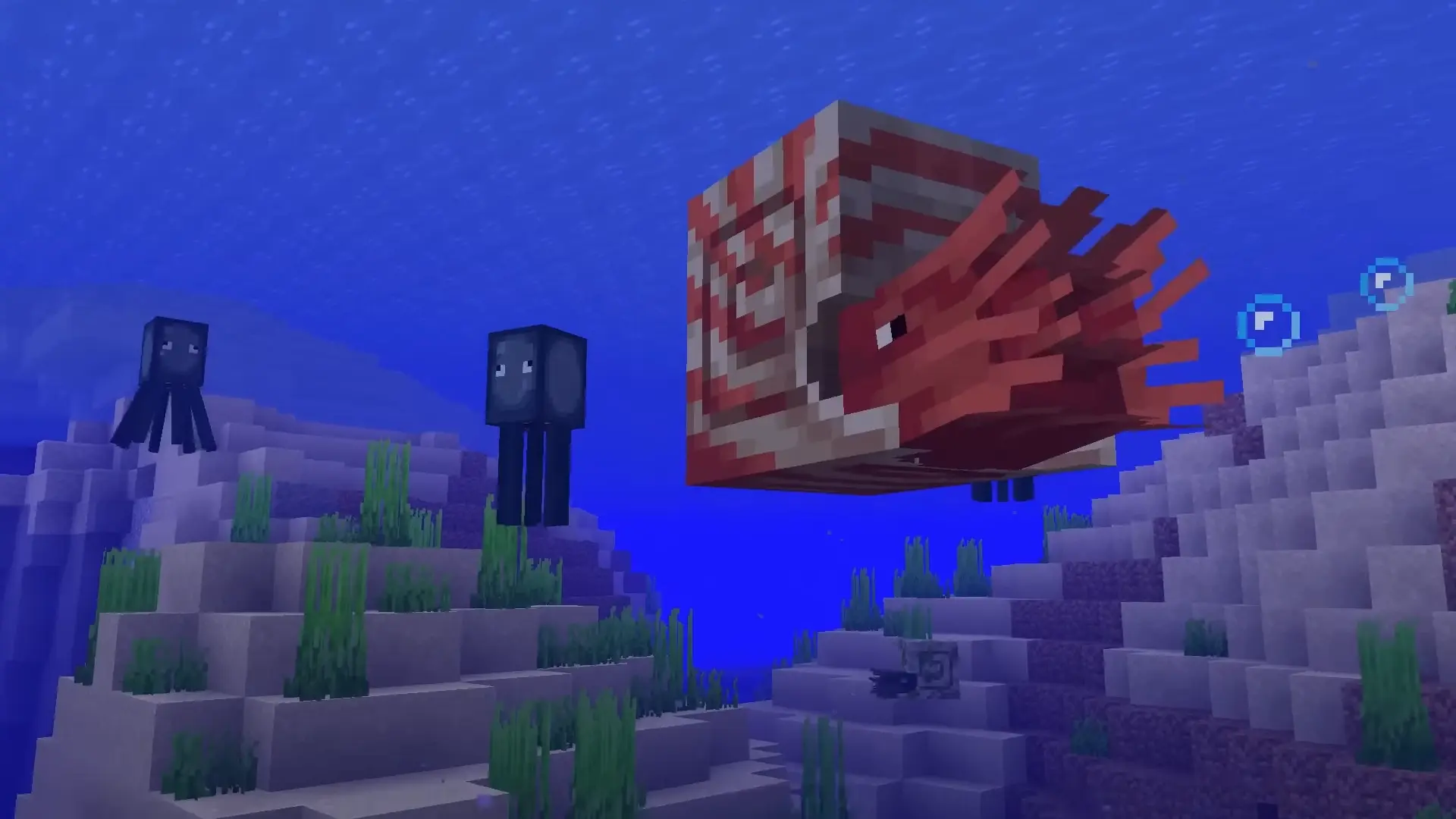 How to Tame a Nautilus in Minecraft